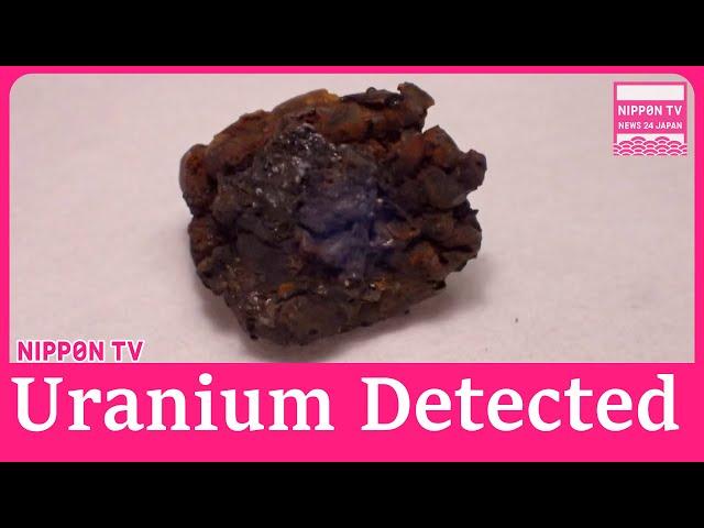 Uranium detected in fuel debris from Fukushima Daiichi nuclear power plant