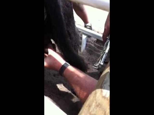 A day at the Barker Ranch