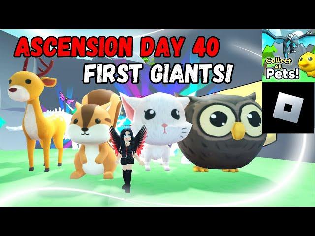 4 GIANTS IN ONE NIGHT! Ascension Day 40 / COLLECT ALL PETS - ROBLOX