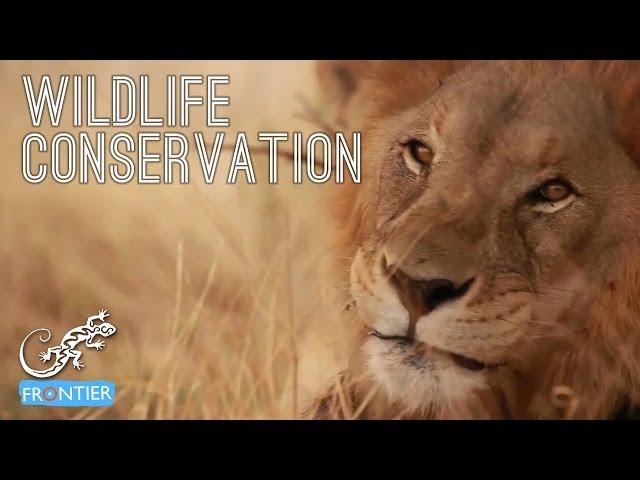 Wildlife Conservation