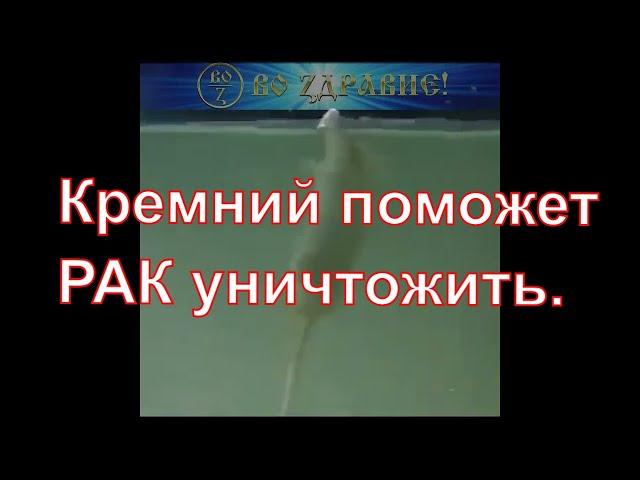 Лучший Противоопухолевый препарат, Противоопухолевые средства (химиотерапия неизбежна?)