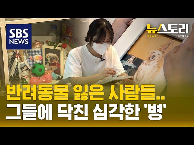 펫로스 증후군..이 정도까지일 줄이야 (뉴스토리) / SBS