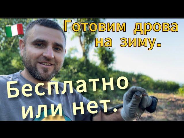Подготовка дров на зиму. Реальная жизнь в итальянском селе.