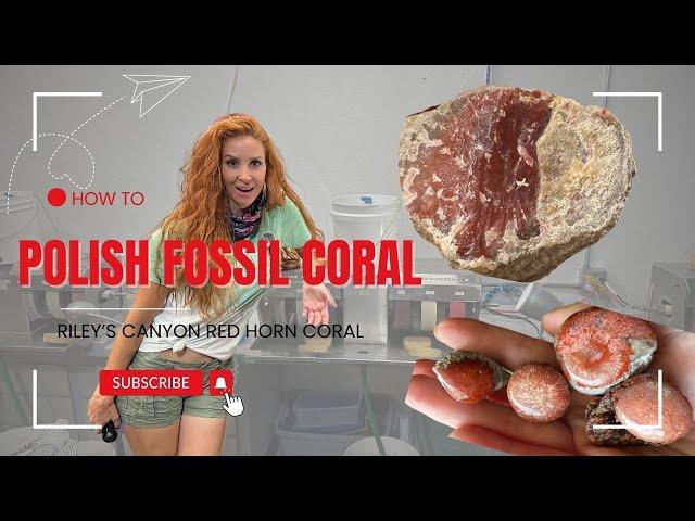 GEOLOGIST shows you HOW to polish Riley's Canyon RED horn Coral