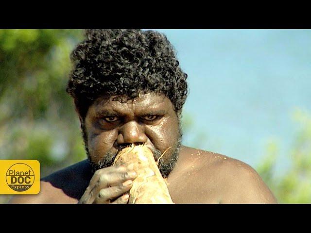 Didgeridoo Sound | Australian Instrument