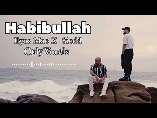 Ilyas Mao - Habibullah Ft. Siedd Vocals only/ No music