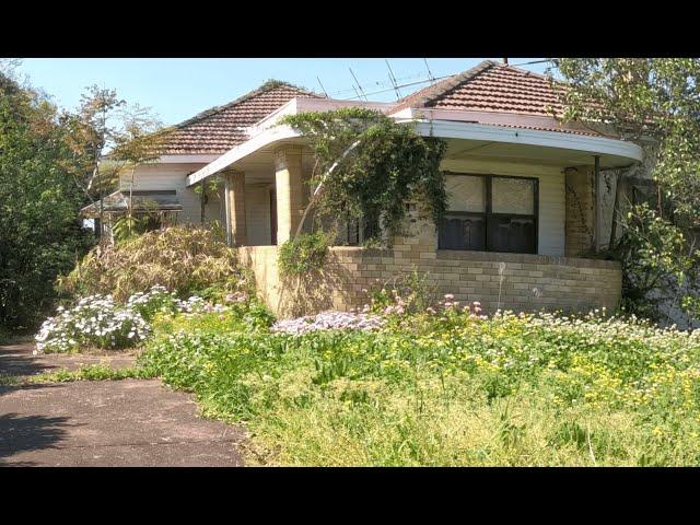 Neglected to Perfect: A JUNGLE took this OLD HOUSE! EPIC YARD RESTORATION