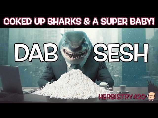 Dab Session – Coked Up Sharks & A Super Baby!