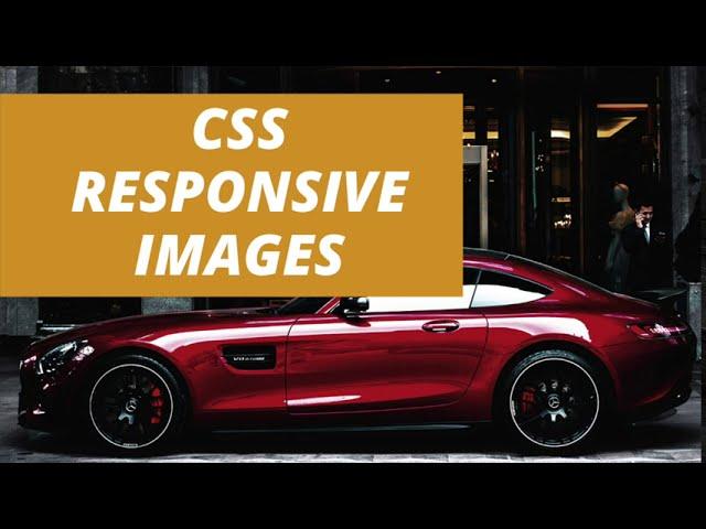 CSS Responsive Images Tutorial: How to Make Images Responsive in CSS?