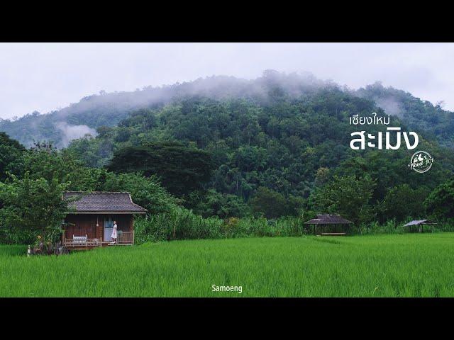 เที่ยวสะเมิง สัมผัสความสดชื่นของธรรมชาติกลางหุบเขา เชียงใหม่ | EP.55 Samoeng