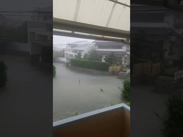 flooding due to super typhoon hagibis in  shizuoka kikugawa shi