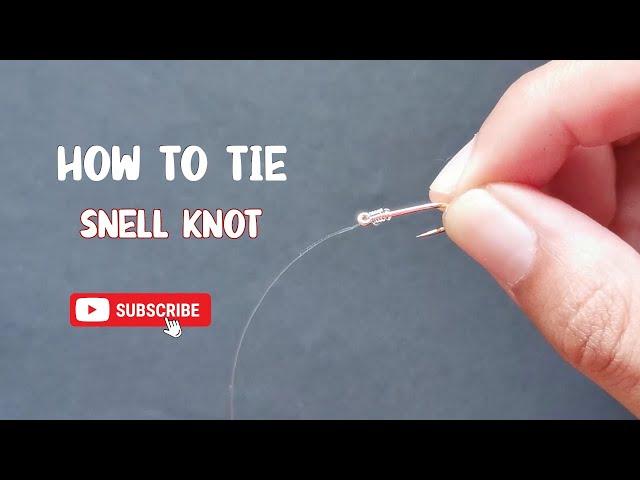 Dropper Loop Rig (Part 3): How to tie the Snell Knot #fishingknot #fishingrig #sgfishing