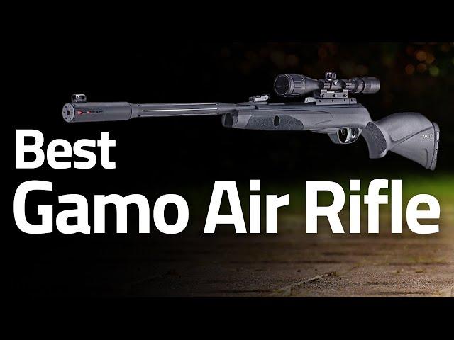 10 Best Gamo Air Rifle 2023 For Hunting