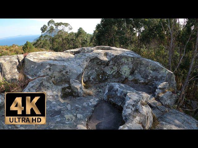 4k Celtic Petroglyphs Tour. Immersive virtual walk in Laxe das Rodas (Galicia).4k nature sounds.