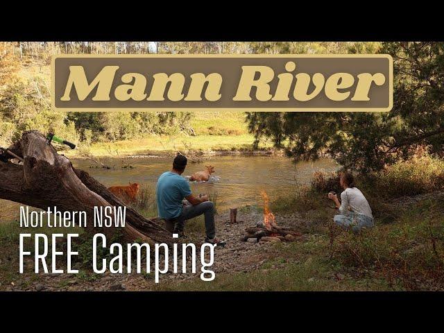 Northern NSW best free camp?