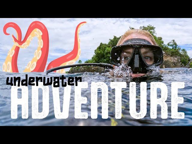 Underwater Adventure! Can you spot the Octopus? | Maddie Moate