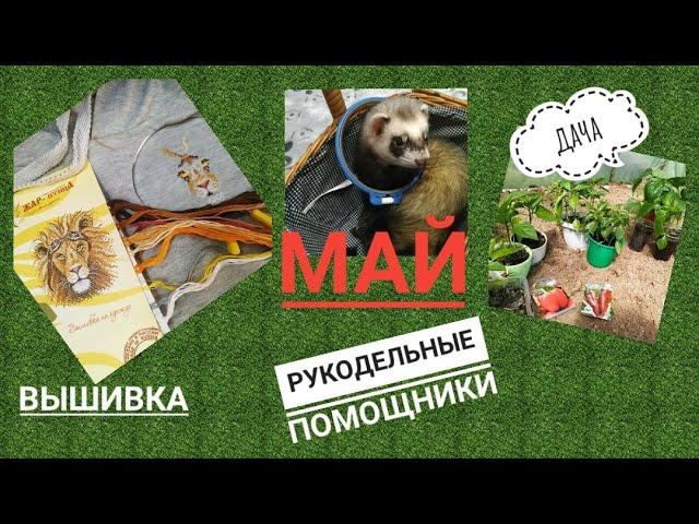 #ВЫШИВКА   #ДАЧА-  УСПЕТЬ ВСЁ или КАК МАЛО ВЫШИВАЕТСЯ
