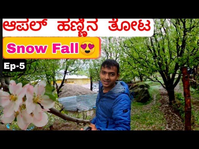 Cute little village | Himachal Village |Ep.5| Dr Bro | Kannada Vlog