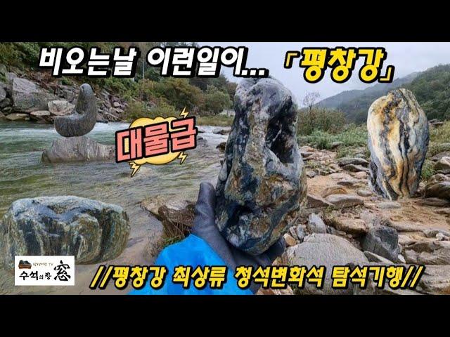 「비오는날 이런일이」평창강 탐석기행.「A rainy day like this」 Pyeongchang River exploration trip.