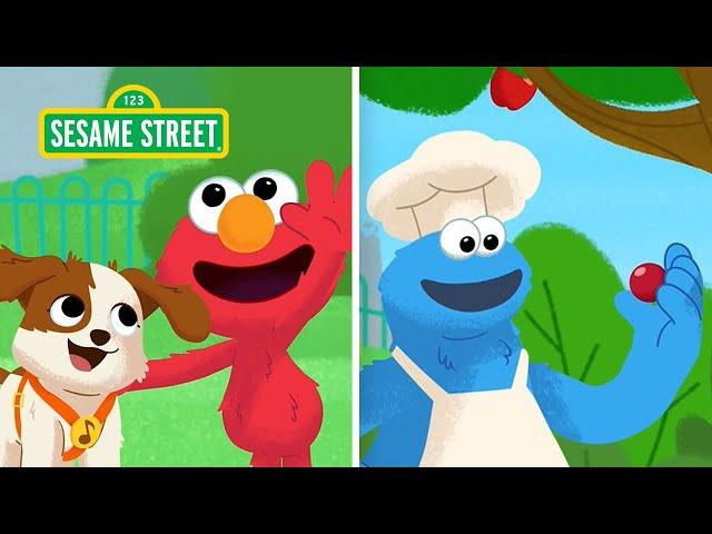 Sesame Street: Two Episodes! Help Elmo and Puppy Find the Missing Doggy Ball and More!
