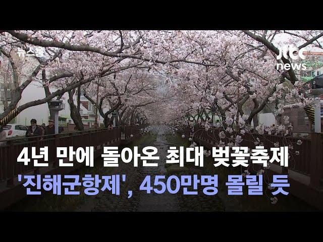 4년 만에 돌아온 최대 벚꽃축제 '진해군항제'…450만명 몰릴 듯 / JTBC 뉴스룸