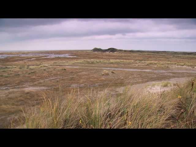 Waddenacademie thema Geowetenschap Schier NL HD.mov