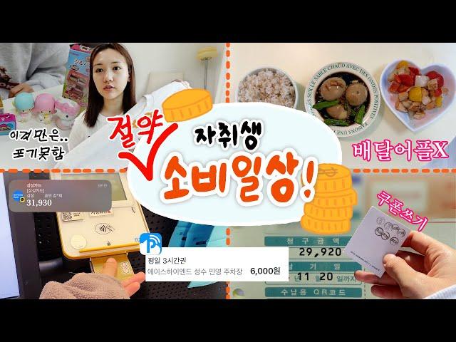 혼자 산 지 5년차가 된 30대 자취생.. 이제는 절약해야할 때! 근검절약 가계부 VLOG | 나만의 적금방법, 소소한 절약 꿀팁!, 집밥해먹기 하지만 피규어는 못참아?