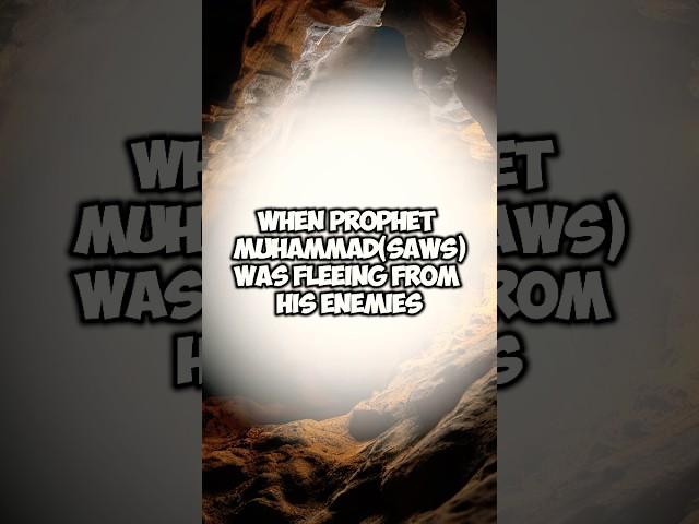 How Allah Protected Prophet Muhammad(SAW) #islamicstory #quotes #islamicwisdom #wisdomofislam