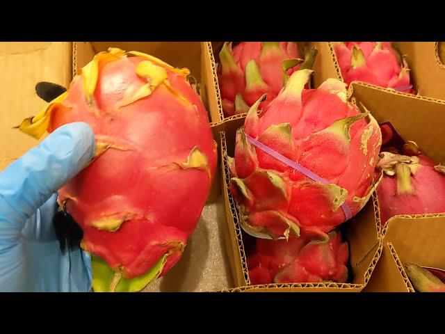 Tips for Picking the best Dragon Fruit at a Grocery Store