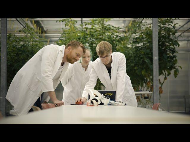 Perspektive Professur | Forschung