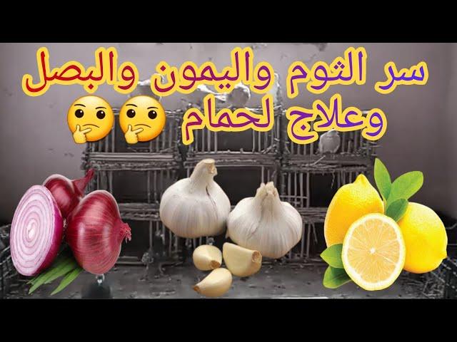 افضل علاج طبيعى لجميع امراض الحمام واضرار وفوائده.