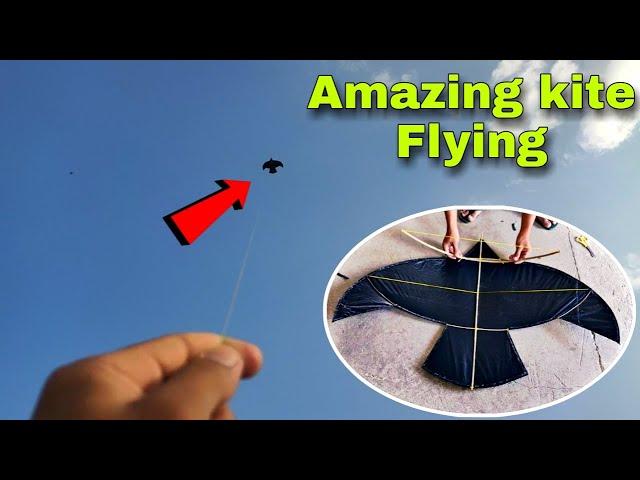 Amazing Lawin Kite