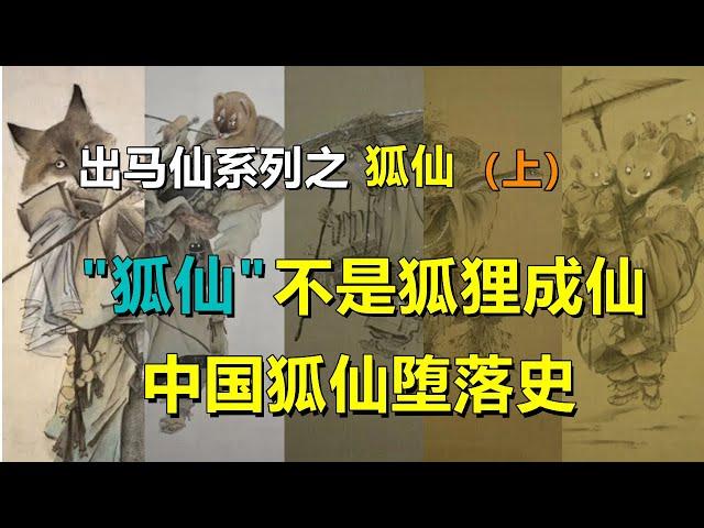 出马仙系列第六期：最牛仙家——狐仙，“狐仙”不是狐狸成仙，中国狐仙堕落史