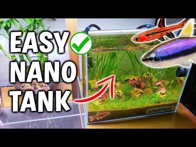 Making My Nano Aquarium 10000X Better - Perfect For Small Fish! | AQUAPROS |