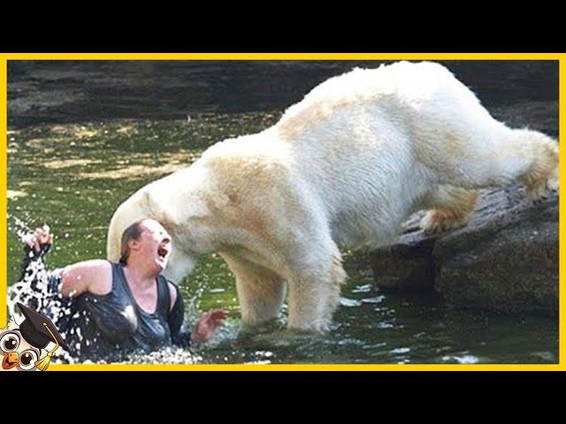 Die 10 dümmsten Menschen im Zoo