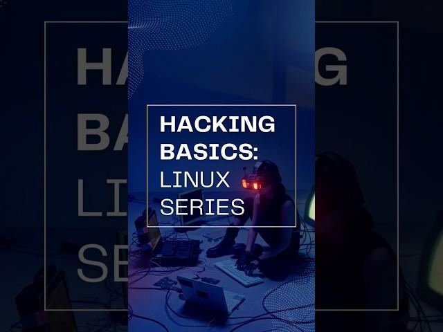 Hacking Fundamentals #cybersecurity #hacktheplanet #linux #terminal