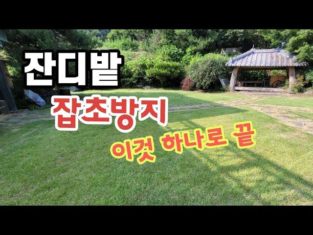 잔디밭 잡초방지는 3월 내에 해햐 합니다. 동계 잔디밭 제초제