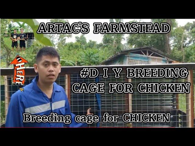 BREEDING CAGE FOR CHICKEN IDEAS | DO IT YOURSELF CAGE [2022]