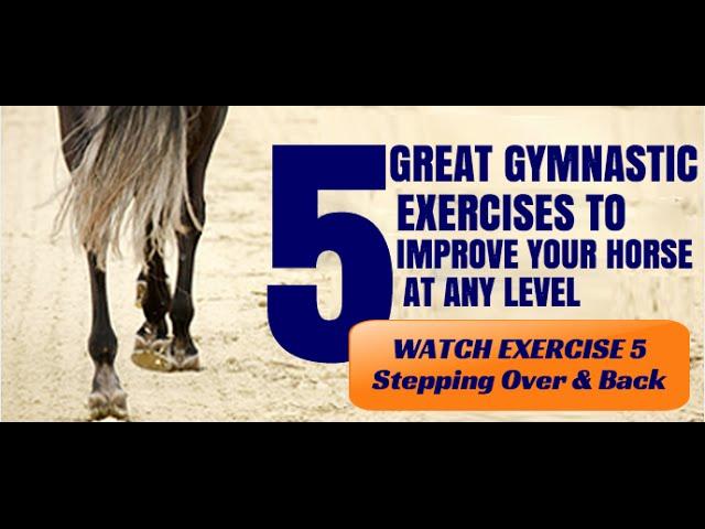 5 Great Gymnastic Exercises to Improve Your Horse - Exercise 5 (Stepping Over & Back)