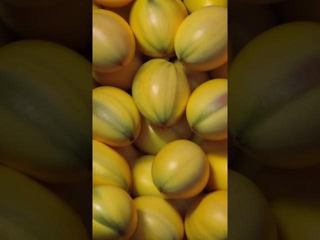 Mangoes Turning into Chickens? New Tech Craze Taking Over!