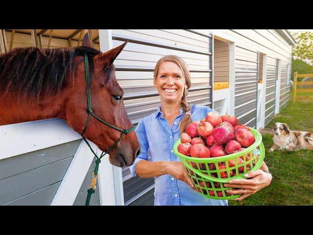 Our Horse Barn Dream: Built in Only 8 Months