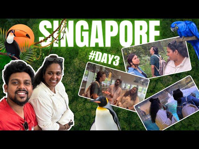 Day 3 Vlog  Bird Paradise  |  हास्यजत्रेच्या टीमसोबतचा Singapore family दौरा 