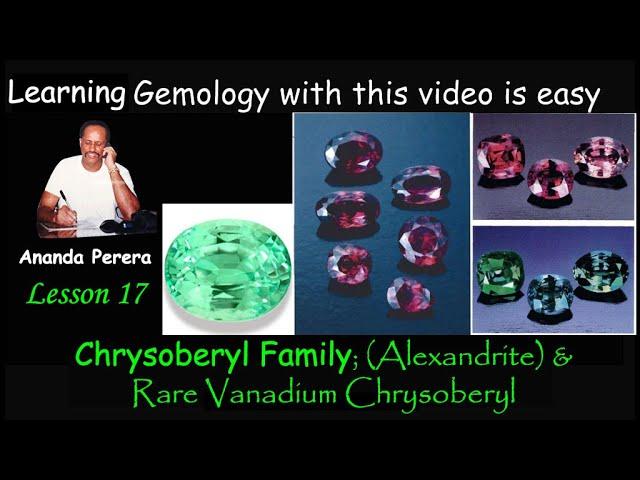 L 17 E | Chrysoberyl Family with Alexandrite & Rare Vanadium Chrysoberyl | Chrysoberyl Cat's-eye