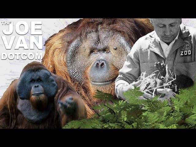 Monke in Review: Ken Allen