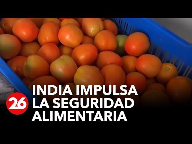 India impulsa la seguridad alimentaria