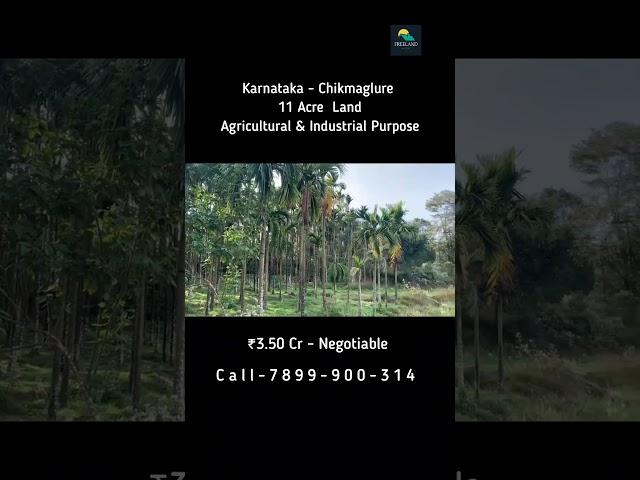 11 Acre Agricultural Industrial Land For Sale | Koppa | Chikmaglure | Karnataka 2 Acre areca nut