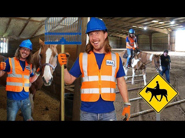 Horses for kids | Working on a Horse Farm | Learn about Horses