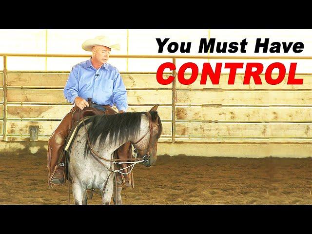 Horse Training For Control - How To Prevent Bucking, Bolting And Violent Spooking