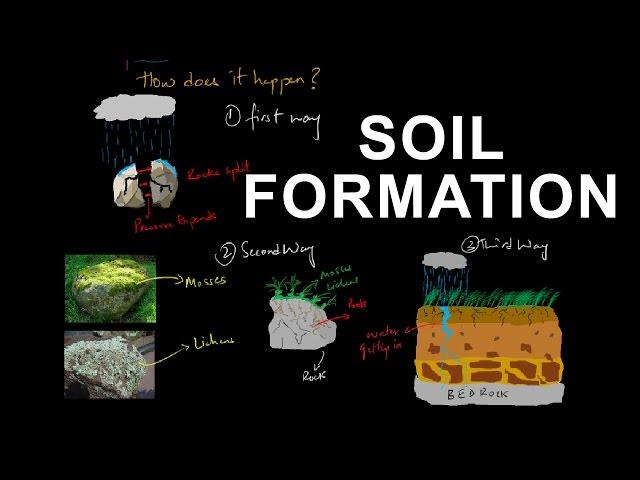 How soil is formed from rocks - Soil formation | Pedogenesis