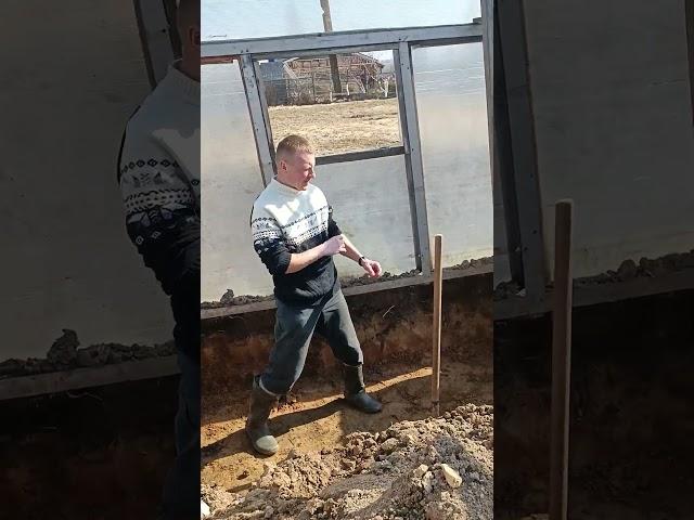 Подготовка ямы к посадке семечки гигантской тыквы... Яма 3 на 1.5 метра и глубиной 60 см.